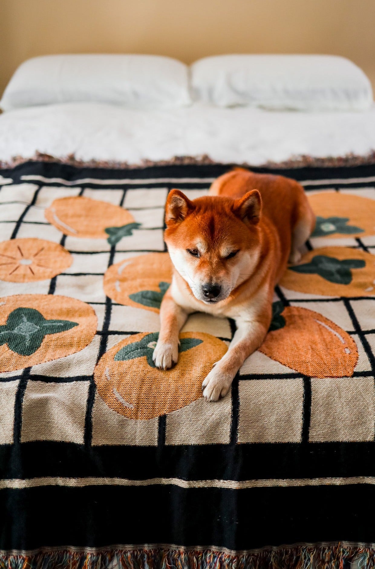 Don't Be Kaki Persimmon Woven Blanket