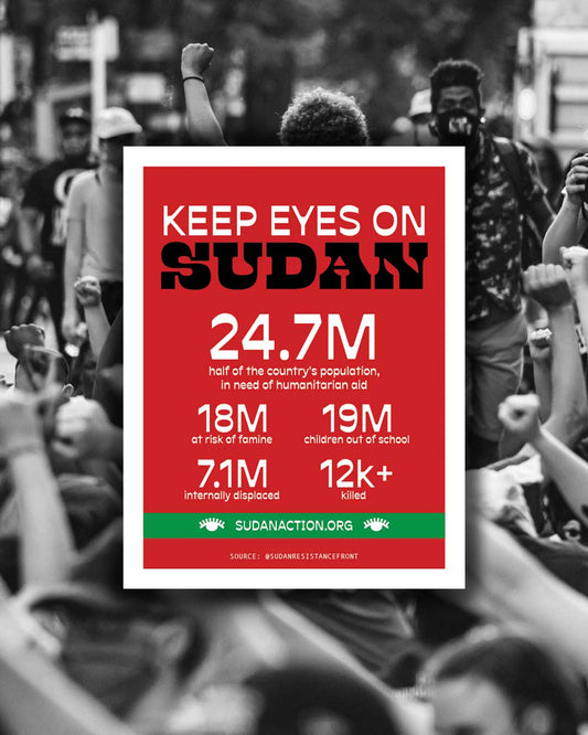 Sudan In Numbers Digital Protest Print
